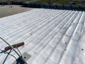 Roof Coating