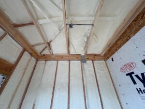 bathroom foam spray iowa