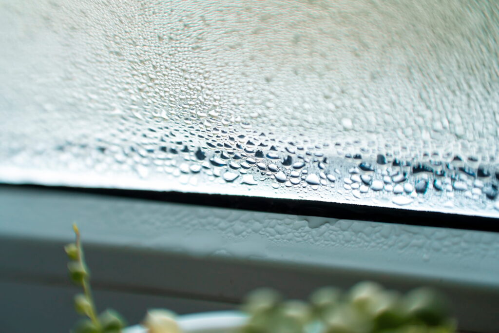 What Should the Humidity Be in Your House? Key Levels & Seasonal Tips